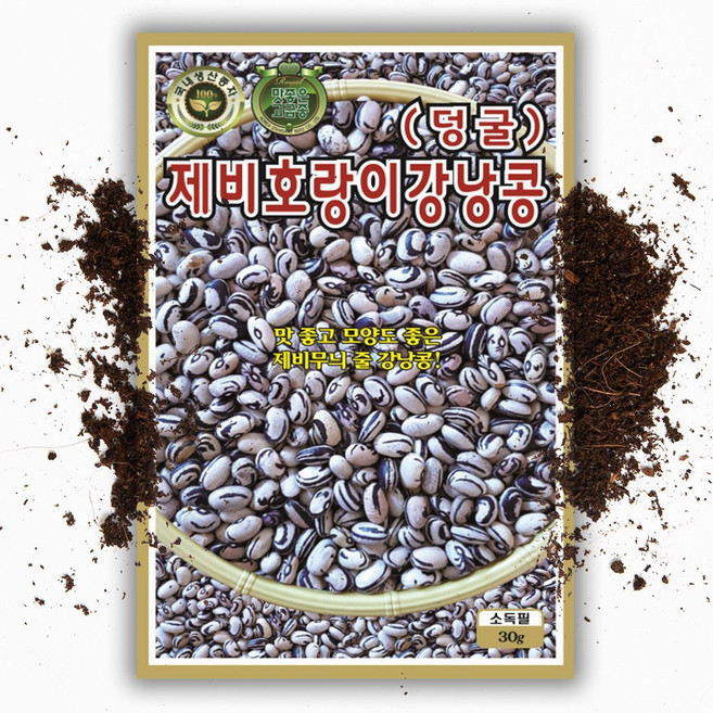 파머스케어 제비호랑이강낭콩30g - 제비호랑이강낭콩씨앗 강낭콩씨앗 콩씨앗 KS종묘 수량많고 색상우수 얼룩이강낭콩 강낭콩 보양작두콩 백태 백미작두콩 녹두 동부 야채 채소 씨앗, 1개
