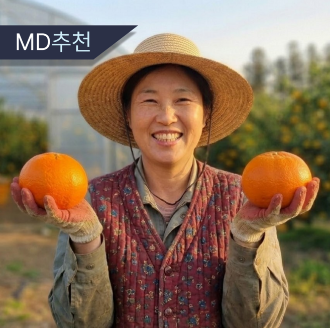 [재구매1위] 제주 카라향 고당도 산지직송, 1박스, 2kg