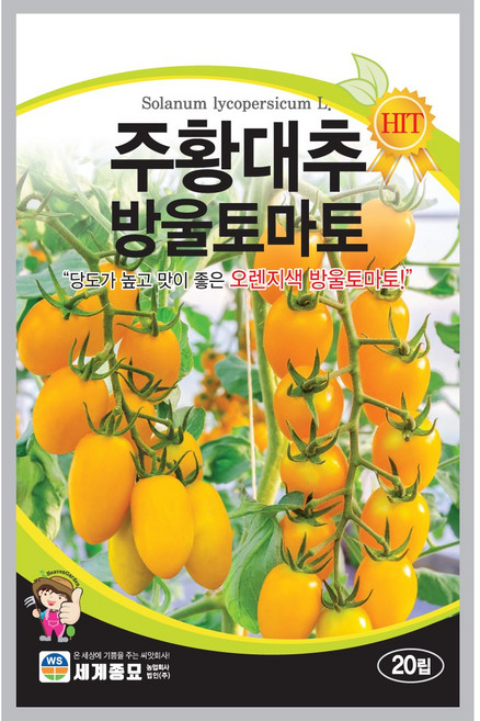 세계종묘 주황대추방울토마토 20립, 1개