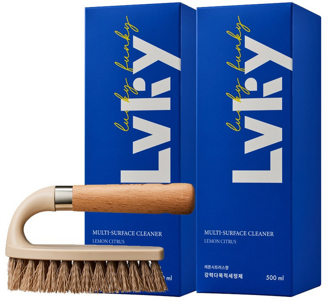 라키 다목적 세정제 500ml 2개 + 청소솔 세트 욕실 주방 집들이, 1개