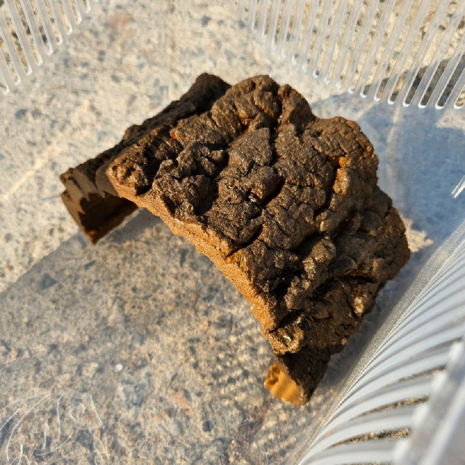 NRC 적재형케이지 대 전용 인조 코르크 은신처 NR-H38, 1개, 단일