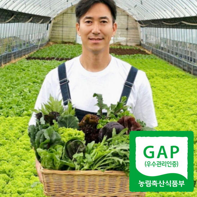 [물맑은 양평] GAP인증 지평농부 모듬쌈채소10종내외 600g 1kg 2kg, 1개