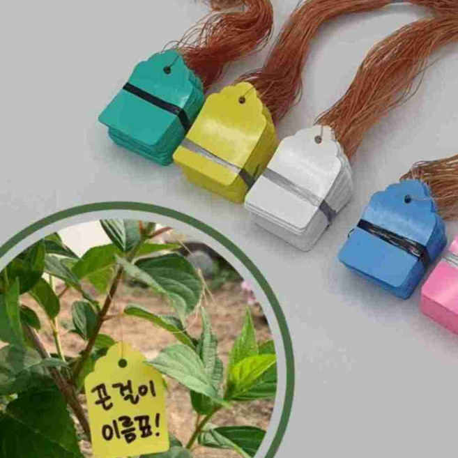 식물 이름표 수목 라벨 화분 표찰 100P 수목푯말