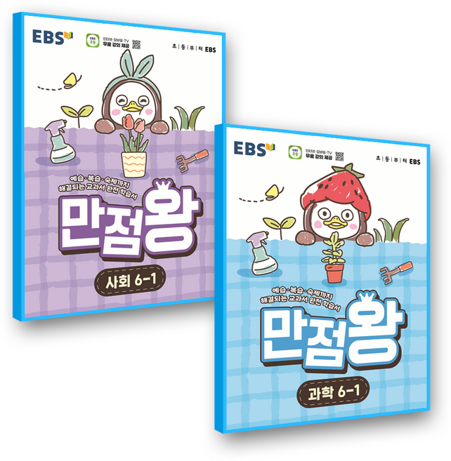 만점왕 사회+과학 6-1