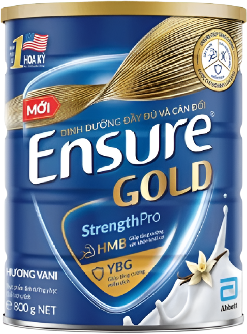 암환자 식사대용 ENSURE GOLD 엔슈어 골드 곡물맛 환자영양식 성인 분유 영양 보충 파우더 800g, 1개