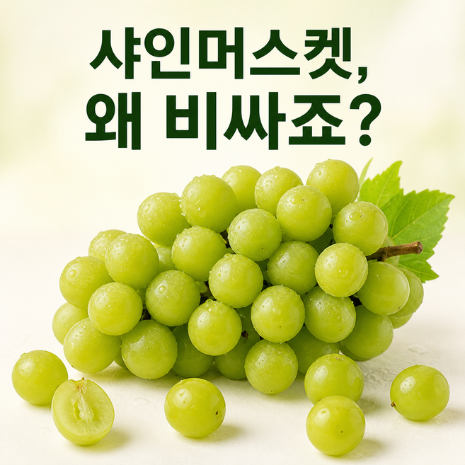 [특특가] 고당도 샤인머스켓, 1박스, 4kg (7-8송이)