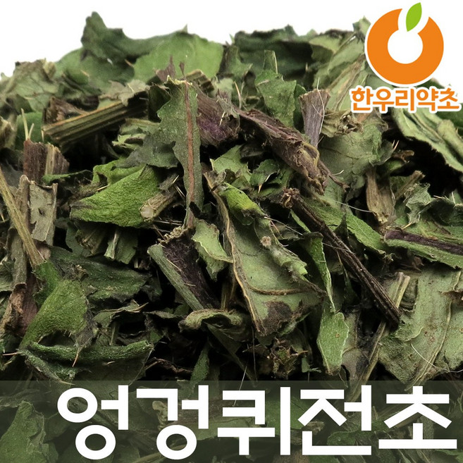 엉겅퀴 300g 효능 엉겅퀴전초 먹는방법, 1개