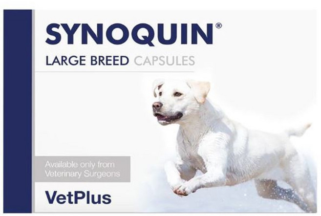 벳플러스 사이노퀸 대형견 강아지 독 라지브리드 30정 관절영양제 타블렛, 30회분, 관절, 2개