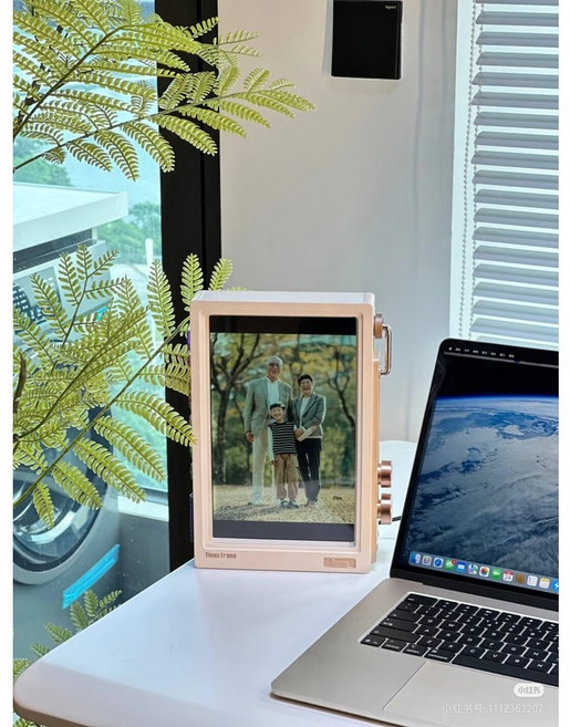 Divoom 디지털 액자 전자 앨범 투명 디스플레이 선물용 10.1 인치 64G, 핑크