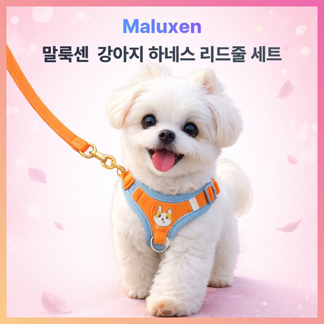 말룩센 편안해 강아지 하네스 리드줄 세트 반려견 산책 가슴줄, 1개, M