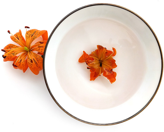 길은꽃차 유기농 참나리 꽃차 /국산, 1개, 4g, 1개입