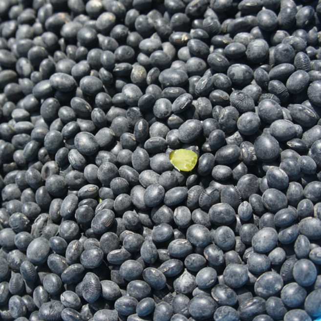 [황토밭푸드] 25년산 국내산 100% 서리태 2kg, 1개