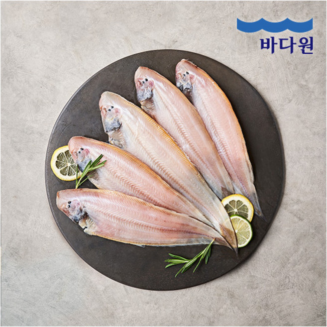 [바다원] 생선명가 국내산 군산박대 130gx7미, 7개, 130g