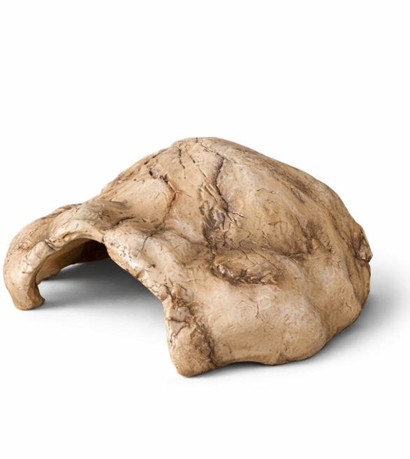 렙티주 파충류 동굴은신처, 혼합, 1개, 중 사이즈