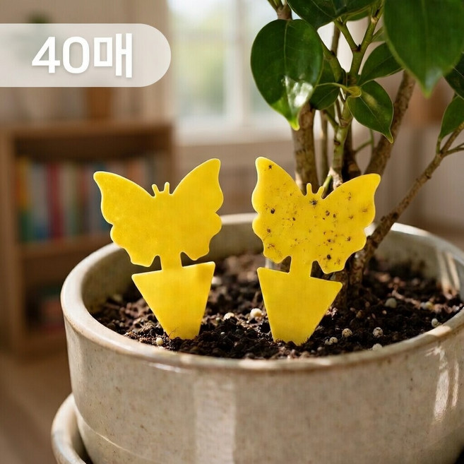 꼼수창고 초파리 트랩 벌레 끈끈이, 40개, 3g