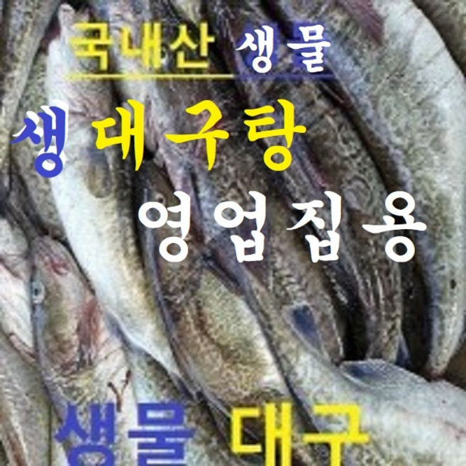(쌍다리상회) 당일생물 식당 대구탕용 생대구 5-10kg내외, 1개, 생대구 통마리 3-20마리 5-10kg 15-20인분