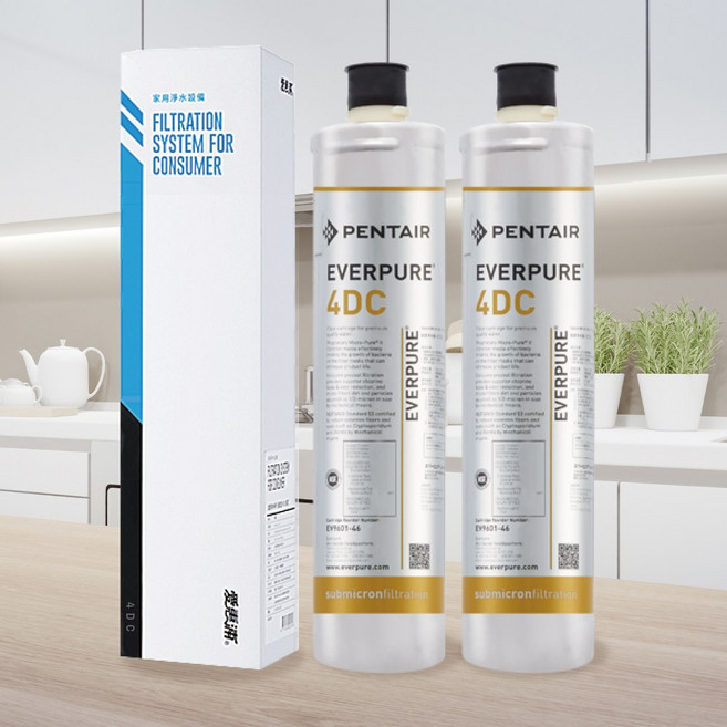 愛惠浦 PENTAIR EVERPURE 4DC 高效能活性碳除鉛濾芯 雙入組, 1個, 4C-2