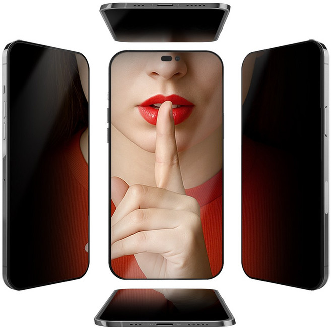 렉스 사방팔방 싹가려주는 사생활보호필름 2매입, 1박스