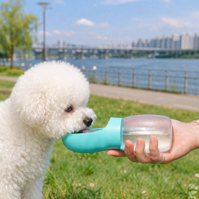 민아루 반려동물 여행 산책용 물통, 1개, 화이트