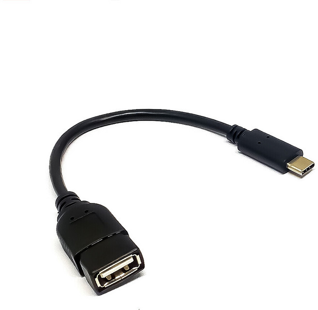 대원TMT USB 3.1 Type-C C타입 OTG 케이블 0.1M DW-OTG31N-01M, 1개