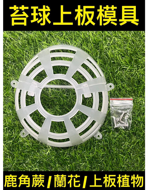 P老闆園藝 上鹿神器 鹿角蕨上版 鹿角蕨板材, 1個, 透明