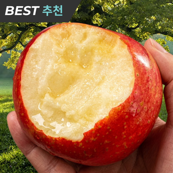 [2주 초특가] 꿀BRIX 아삭아삭 소담청 못난이사과, 1박스, 10kg