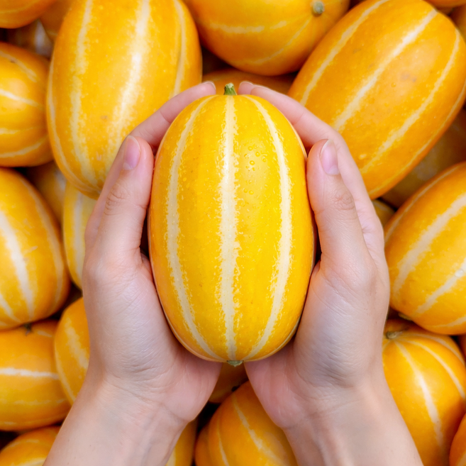 당일수확 고당도 성주 참외, 1박스, 10kg