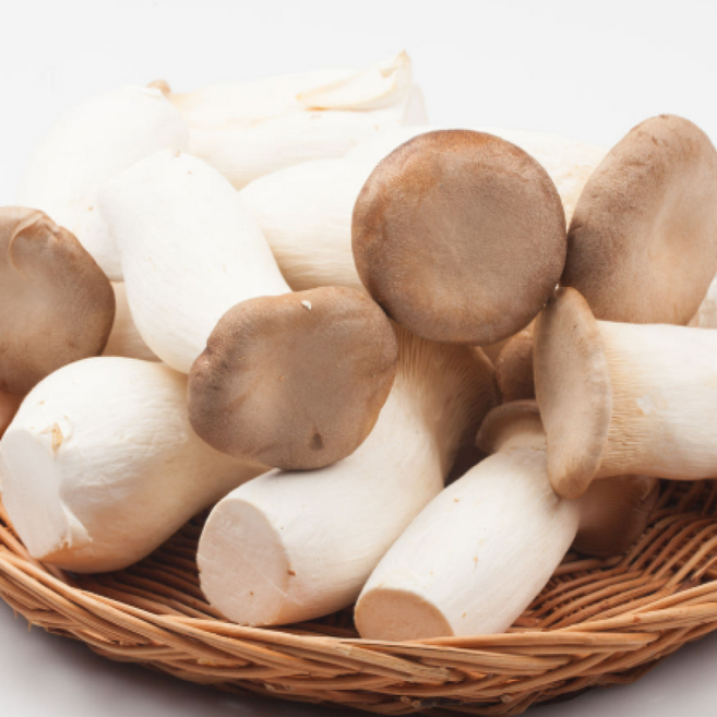 새송이버섯, 5개, 400g