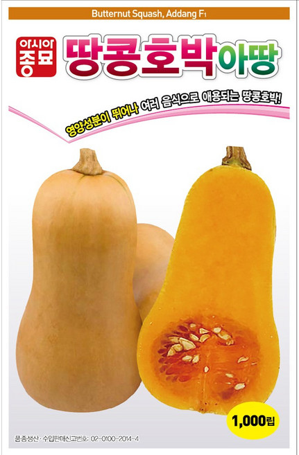 아시아종묘 씨앗 호박 땅콩호박아땅 10립, 1개