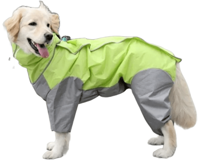 寵物連身雨衣 防水設計, 綠色, 1個