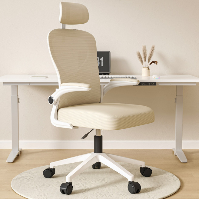 투에스리빙 자세교정 공부 사무용 허리받침 메쉬 컴퓨터 의자, 베이지A