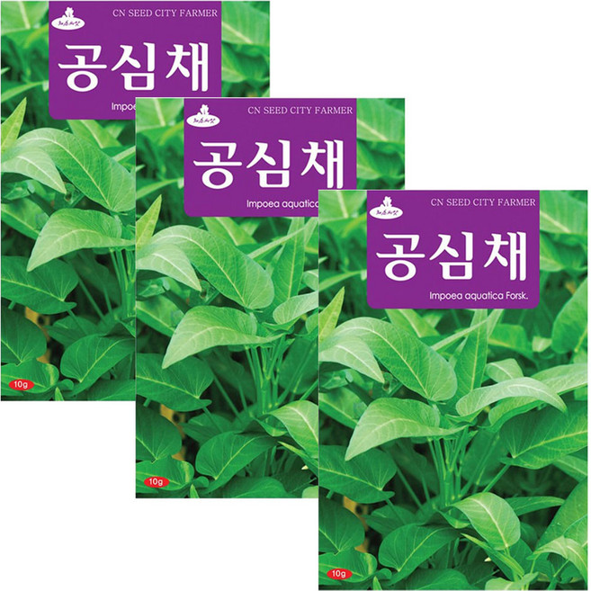청농종묘 공심채 종자, 3개