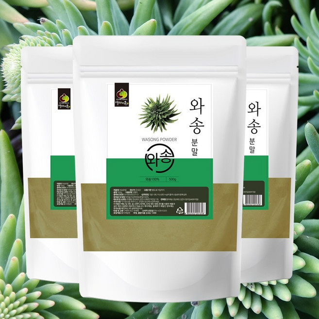 국내산 100% 순수 와송(바위솔)분말 500g 대용량, 2개