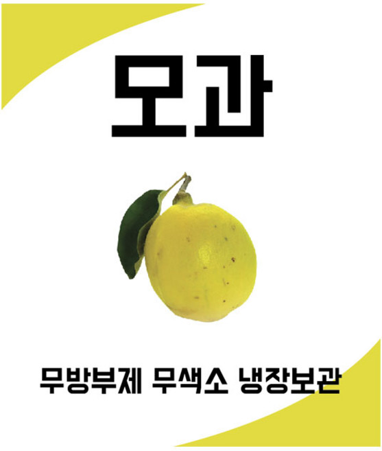 담은 투명모과 스티커 50장