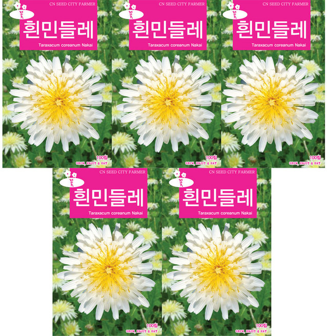 모두다 꽃씨앗 흰민들레씨앗(100립), 5개