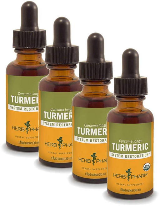 허브팜 터메릭 강황 추출물 Herb Pharm Turmeric Root Extract, 4개