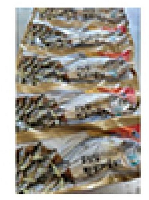 영광 법성포 모싯잎찐보리굴비, 5개, 28~30cm