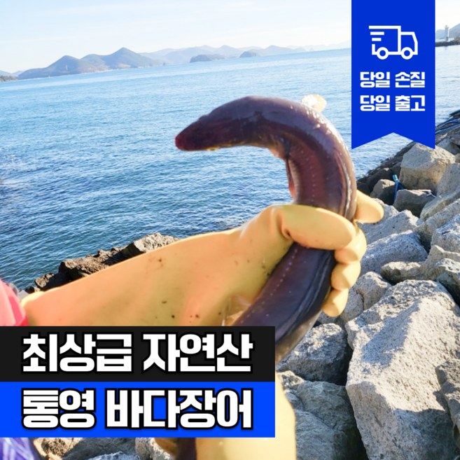 [참참밥상] 통영 자연산 특대 손질 바다장어 붕장어 아나고 산지직송 장어구이 보양식 추천, 1개, 1kg (약 1~4미)