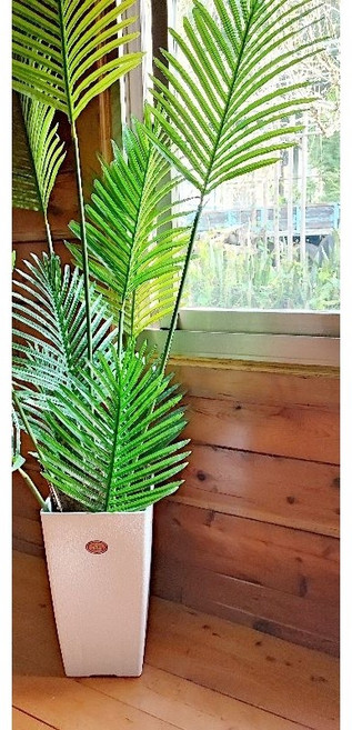 四方高花盆 台灣製造 室內觀葉植物盆栽 紅色四方底盤8寸 兩款皆可用, 1個