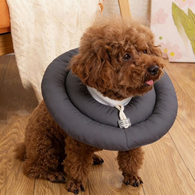 상덕 강아지 넥카라 UFO 고양이 겸용 방수 반려생각, 1개, 다크그레이