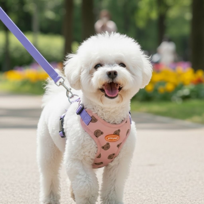 펫올웨이즈 강아지 하네스 목잠김 방지 초경량 하네스 리드줄 세트, 핑크