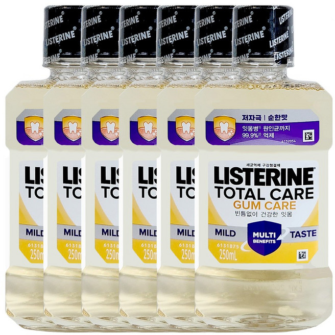 리스테린 토탈케어 검케어 마일드 구강청결제, 250ml, 6개