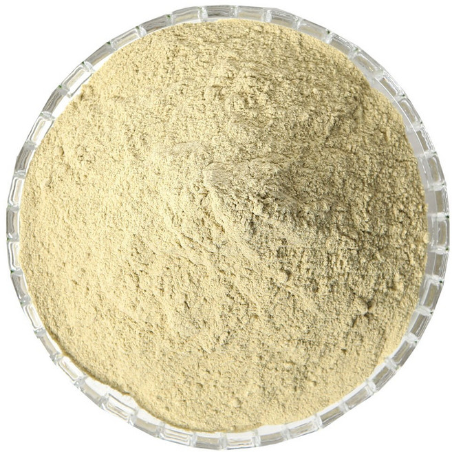 케이웰니스 국내산 천년초분말 천년초 가루 분말, 1kg, 1개