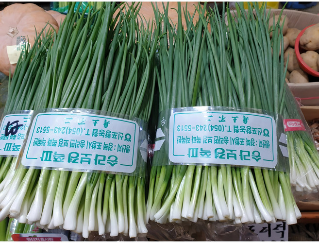 [당일손질] 쪽파 깐쪽파 실파 잔파 햇쪽파 해풍맞은, 1개, 900g