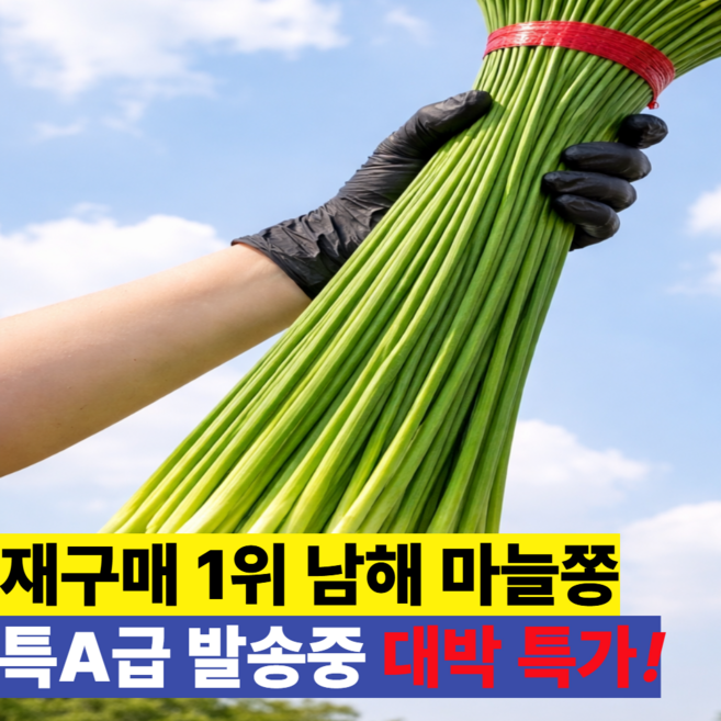 [최상급] 국산 남해 마늘쫑 1kg 햇마늘쫑, 1개