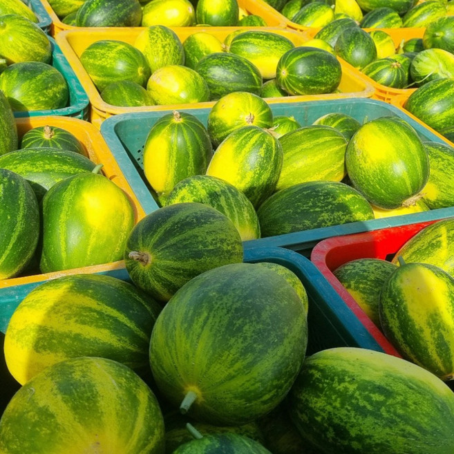 [한정특가] 초고당도 정품 파파야메론 개구리참외, 1박스, 정품 (랜덤과) 1kg