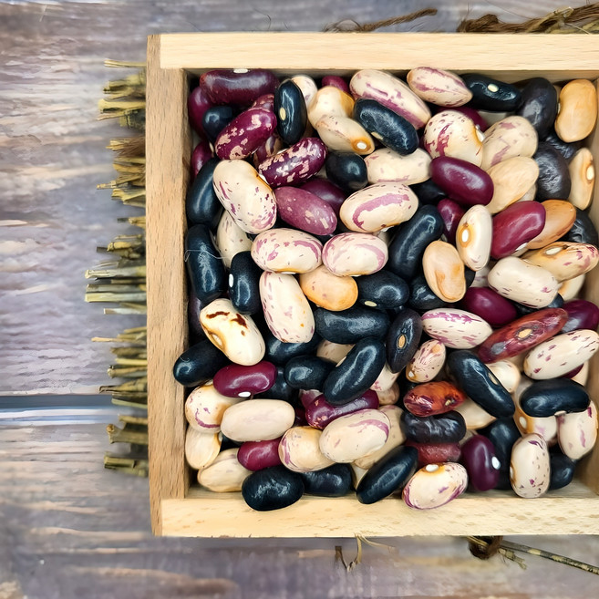 농랑부랑 국산 햇 강낭콩 강남콩 1kg 2kg, 1개