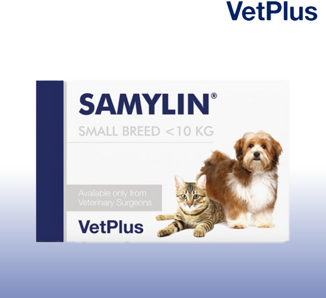 벳플러스 새밀린 30정 개고양이 간영양보조제 동물병원정품, 심장/간, 1개