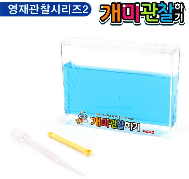 곤충채집 개미 관찰하기 (대) (블루) (1036) _ 260429EA bli+049ey