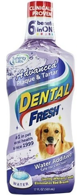 시너지랩 덴탈후레쉬 애견 구강청결제, 503ml, 1개, 503ml - 쿠팡